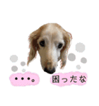そらは18歳（個別スタンプ：10）