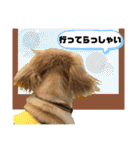 そらは18歳（個別スタンプ：11）