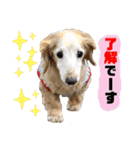 そらは18歳（個別スタンプ：12）