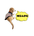 そらは18歳（個別スタンプ：14）