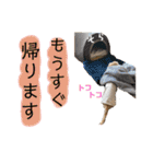そらは18歳（個別スタンプ：15）