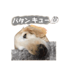 そらは18歳（個別スタンプ：16）