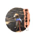 そらは18歳（個別スタンプ：20）