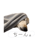 そらは18歳（個別スタンプ：23）