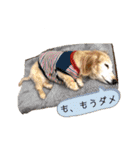 そらは18歳（個別スタンプ：24）