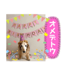 そらは18歳（個別スタンプ：25）