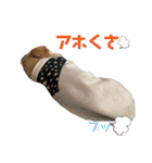 そらは18歳（個別スタンプ：27）