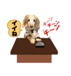 そらは18歳（個別スタンプ：28）