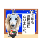 そらは18歳（個別スタンプ：30）