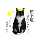 猫、足りてますか？Byくつした（個別スタンプ：1）