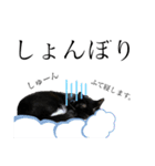 猫、足りてますか？Byくつした（個別スタンプ：15）