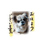 zerosticker（個別スタンプ：1）