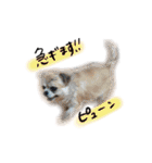 zerosticker（個別スタンプ：13）