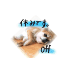 zerosticker（個別スタンプ：14）