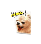 zerosticker（個別スタンプ：16）