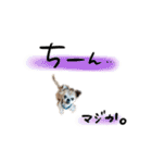 zerosticker（個別スタンプ：17）