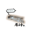 zerosticker（個別スタンプ：20）