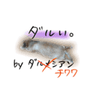 zerosticker（個別スタンプ：24）