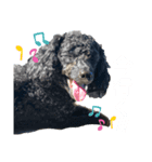 noahstanp（個別スタンプ：4）