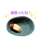 クワガタとカブトムシスタンプ beetle（個別スタンプ：8）