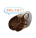 クワガタとカブトムシスタンプ beetle（個別スタンプ：12）