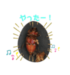 クワガタとカブトムシスタンプ beetle（個別スタンプ：18）