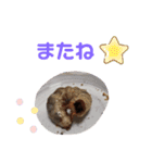 クワガタとカブトムシスタンプ beetle（個別スタンプ：20）