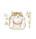 野菜おじさん達と食べ物スタンプ（個別スタンプ：24）