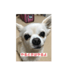 えなちゃんだよ！（個別スタンプ：3）