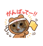 コロボルコンビ（個別スタンプ：2）