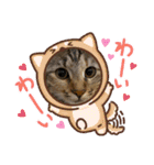 コロボルコンビ（個別スタンプ：3）