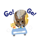 コロボルコンビ（個別スタンプ：6）