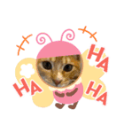 コロボルコンビ（個別スタンプ：8）