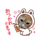 コロボルコンビ（個別スタンプ：9）
