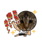 コロボルコンビ（個別スタンプ：11）