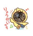 コロボルコンビ（個別スタンプ：12）