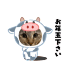 コロボルコンビ（個別スタンプ：13）