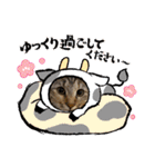 コロボルコンビ（個別スタンプ：15）