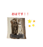 コロボルコンビ（個別スタンプ：30）