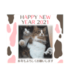 次元とkeiと時々くぅ2021 HAPPY NEW YEAR（個別スタンプ：8）