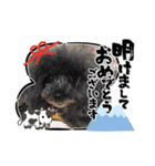 新年スタンプ プードル（個別スタンプ：16）