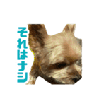 80パーセントくらい犬（個別スタンプ：6）