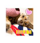 デイジーとアーサー②（個別スタンプ：5）
