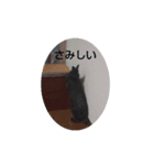 つんでれうさちゃん（個別スタンプ：1）