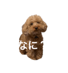 人面犬リズ（個別スタンプ：3）