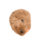 人面犬リズ（個別スタンプ：4）