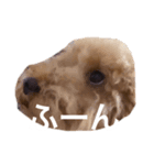 人面犬リズ（個別スタンプ：6）