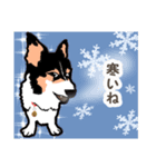 ゆるい黒コーギースタンプ 2【新しい冬】（個別スタンプ：2）