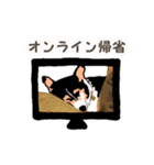 ゆるい黒コーギースタンプ 2【新しい冬】（個別スタンプ：8）
