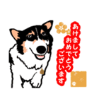 ゆるい黒コーギースタンプ 2【新しい冬】（個別スタンプ：12）